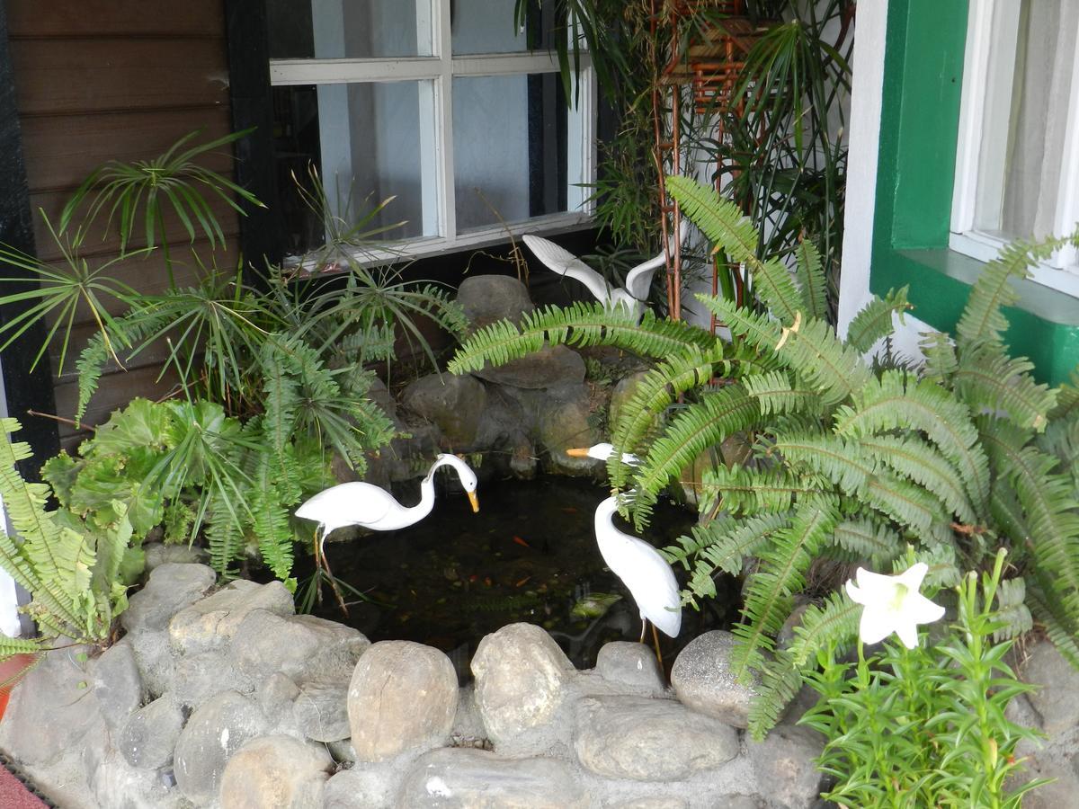 Eeescart Resort Nuwaraeliya Nuwara Eliya Buitenkant foto